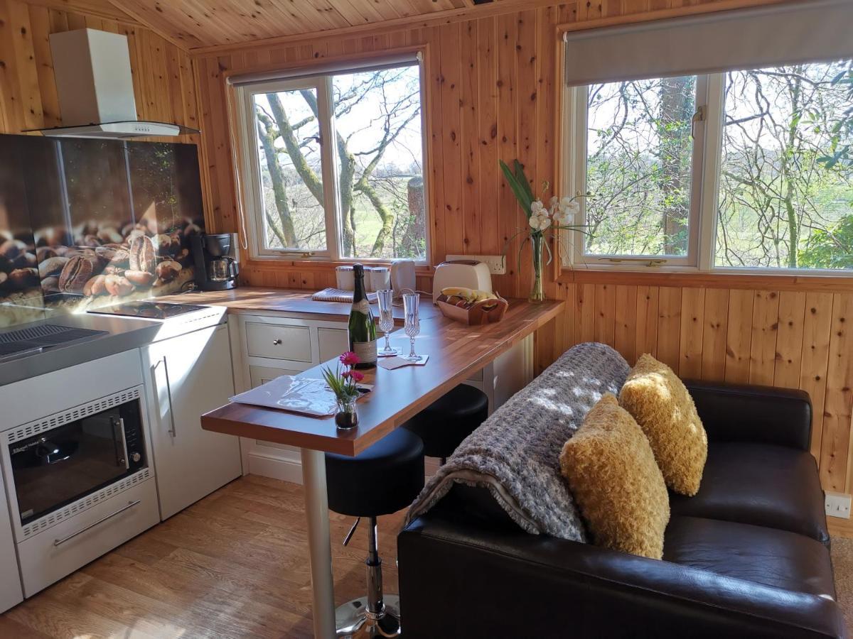 Treeside Woodhouse Villa Hawkshead Eksteriør billede