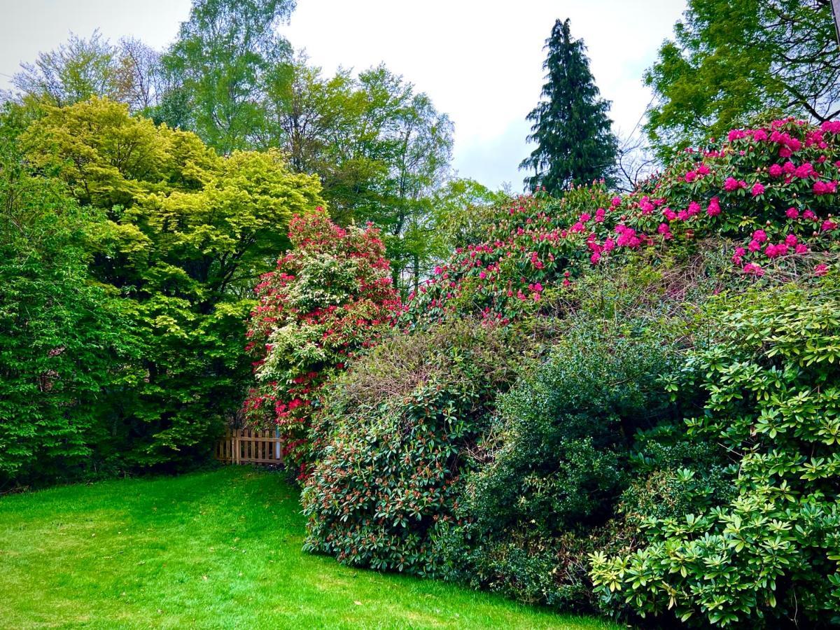 Treeside Woodhouse Villa Hawkshead Eksteriør billede